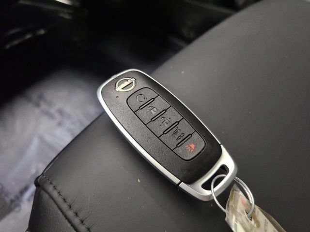 Used 2025 Baja Storm Nissan Platinum image 38