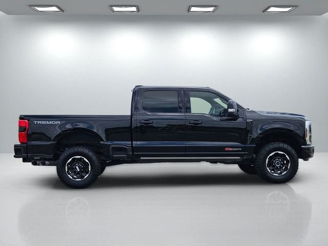 Used 2025 Black Ford Platinum image 3