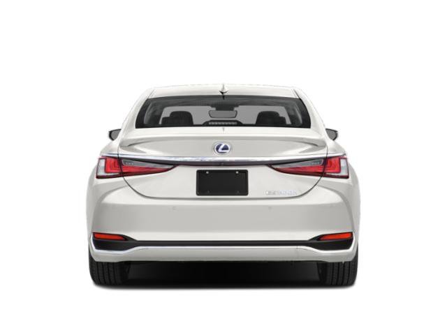 Used 2019 Caviar Lexus 300h Luxury image 5
