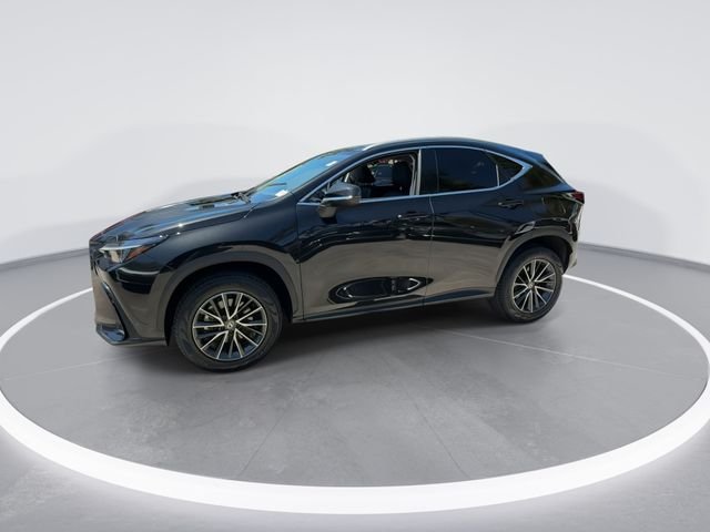 2024 Lexus NX 250 - Photo 4