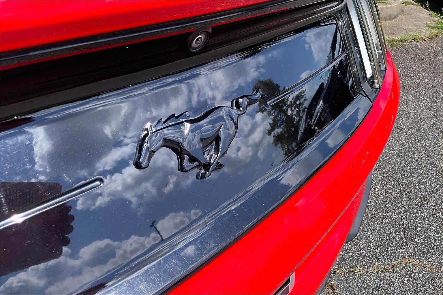 Certified Used 2019 Race Red Ford EcoBoost Premium image 27