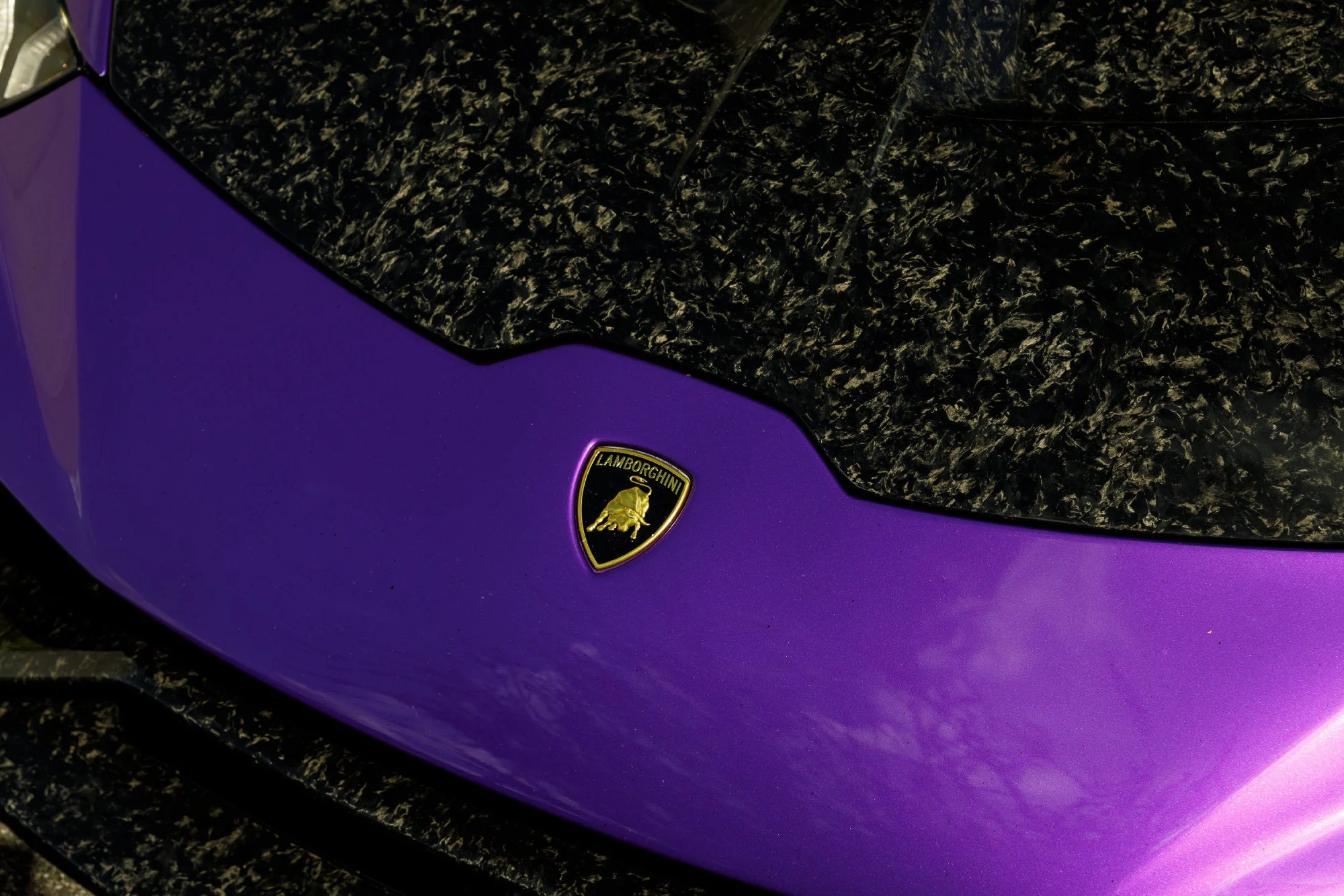 Used 2018  Lamborghini Performante image 10