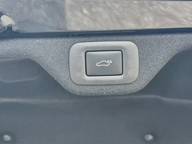 New 2026 Caviar Lexus PREMIUM image 13