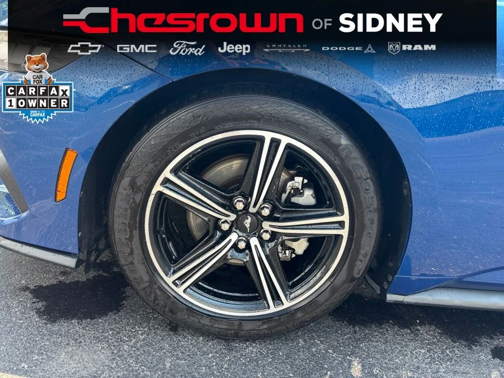 Used 2024 Blue Ford EcoBoost Premium image 9