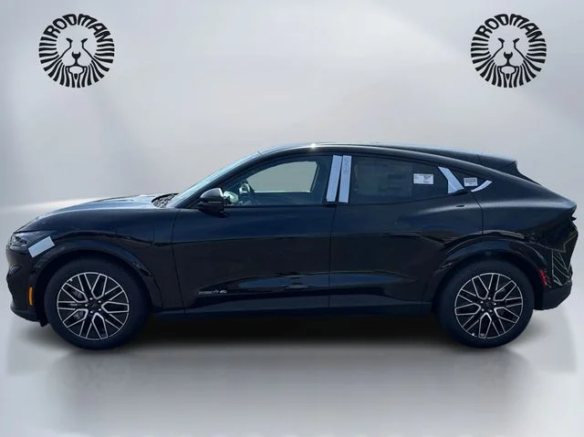 New 2026 Shadow Black Ford Premium image 8