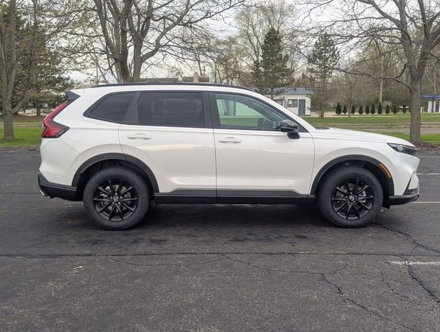 New 2026 Platinum White Pearl Honda Sport-L image 5