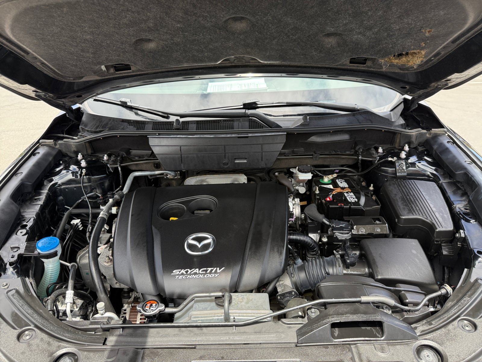 Used 2018 Jet Black Mica Mazda Sport image 20