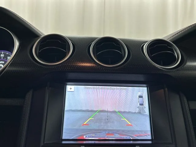 Used 2019 Black Ford GT Premium image 15