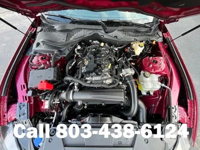 New 2026 Molten Magenta Metallic Tinted Clearcoat Ford EcoBoost® Fastback image 20