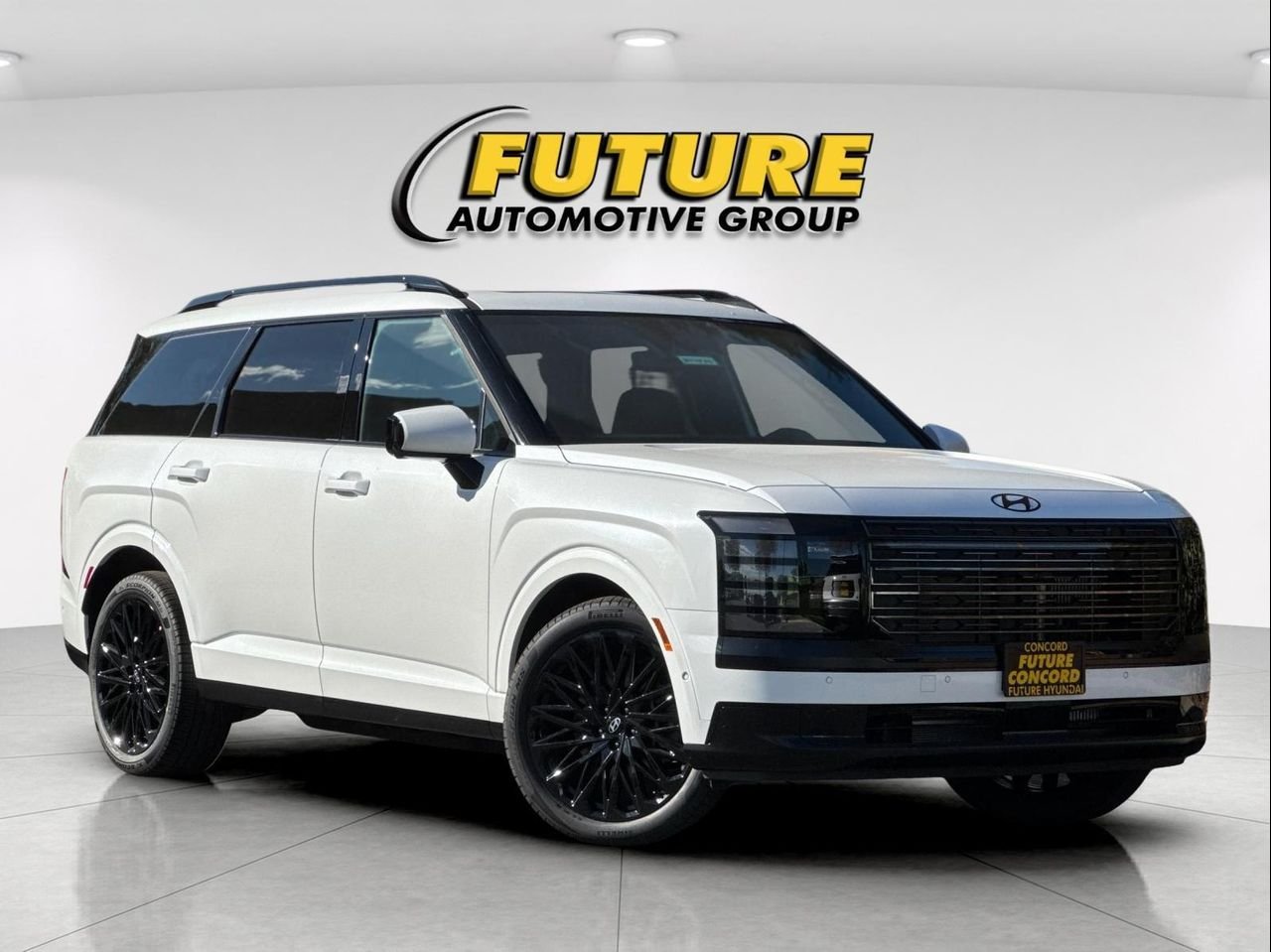 New 2027 White Hyundai Calligraphy Black Ink image 1