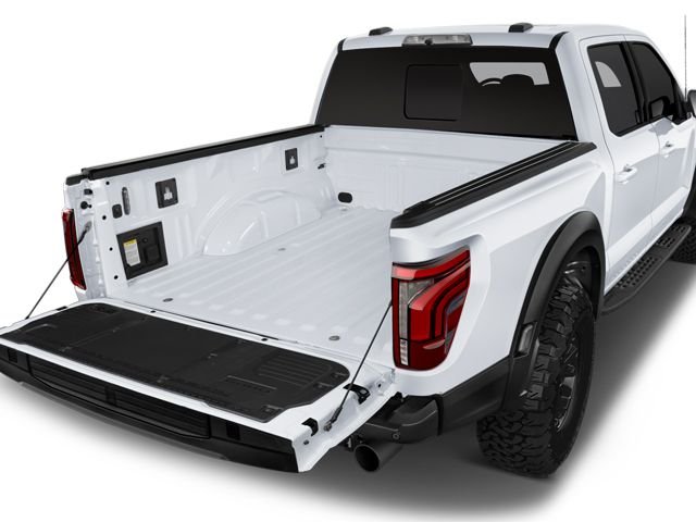 2025 Ford F-150 Raptor - Photo 7