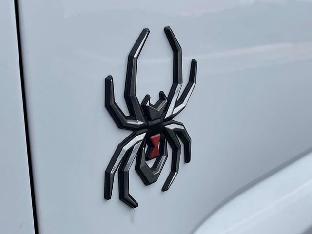 New 2026 Oxford White Ford Black Widow image 40