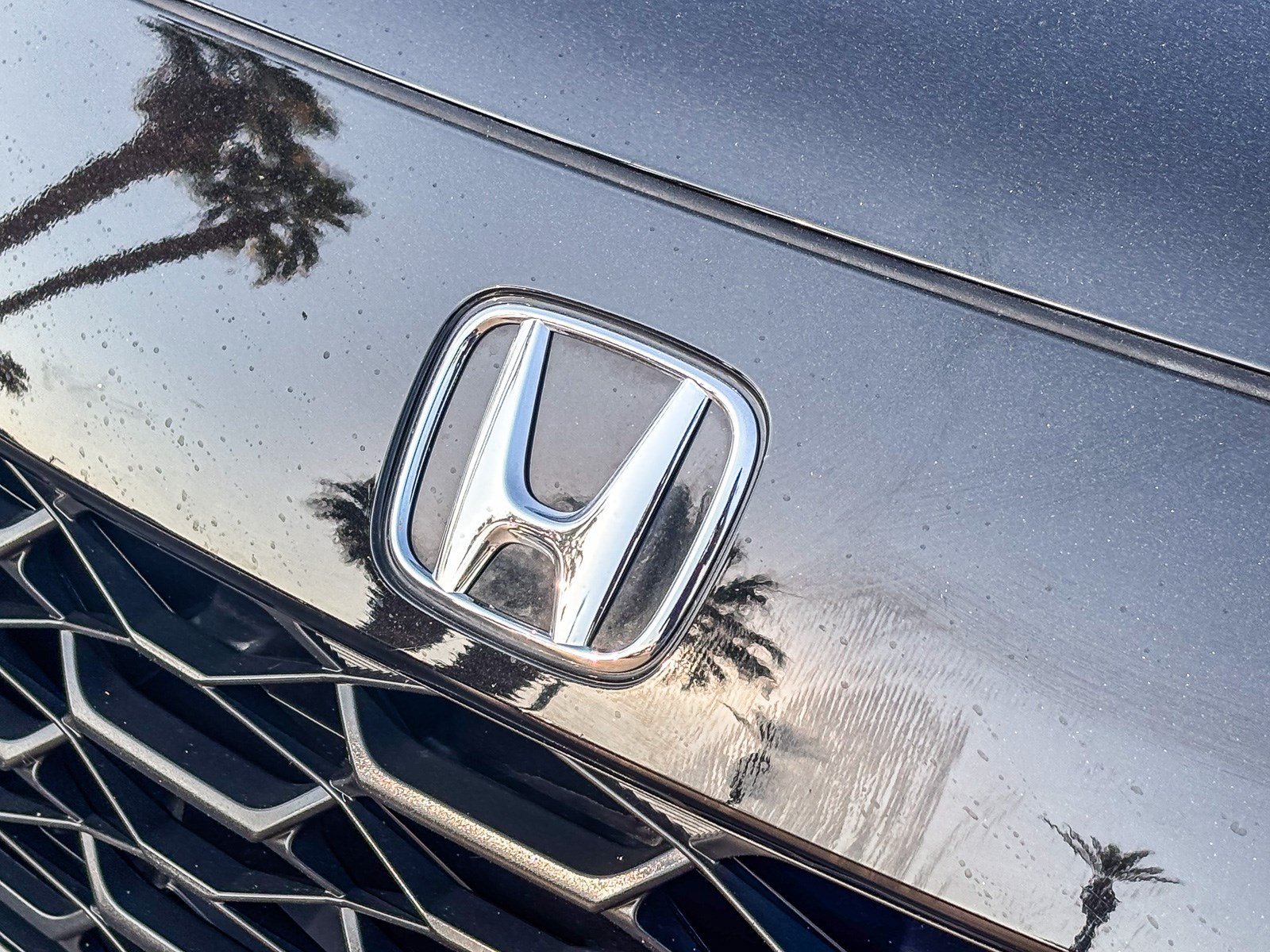 Used 2024 Crystal Black Pearl Honda LX image 9