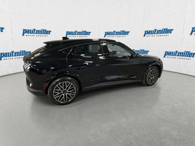 New 2026 Shadow Black Ford Premium image 12