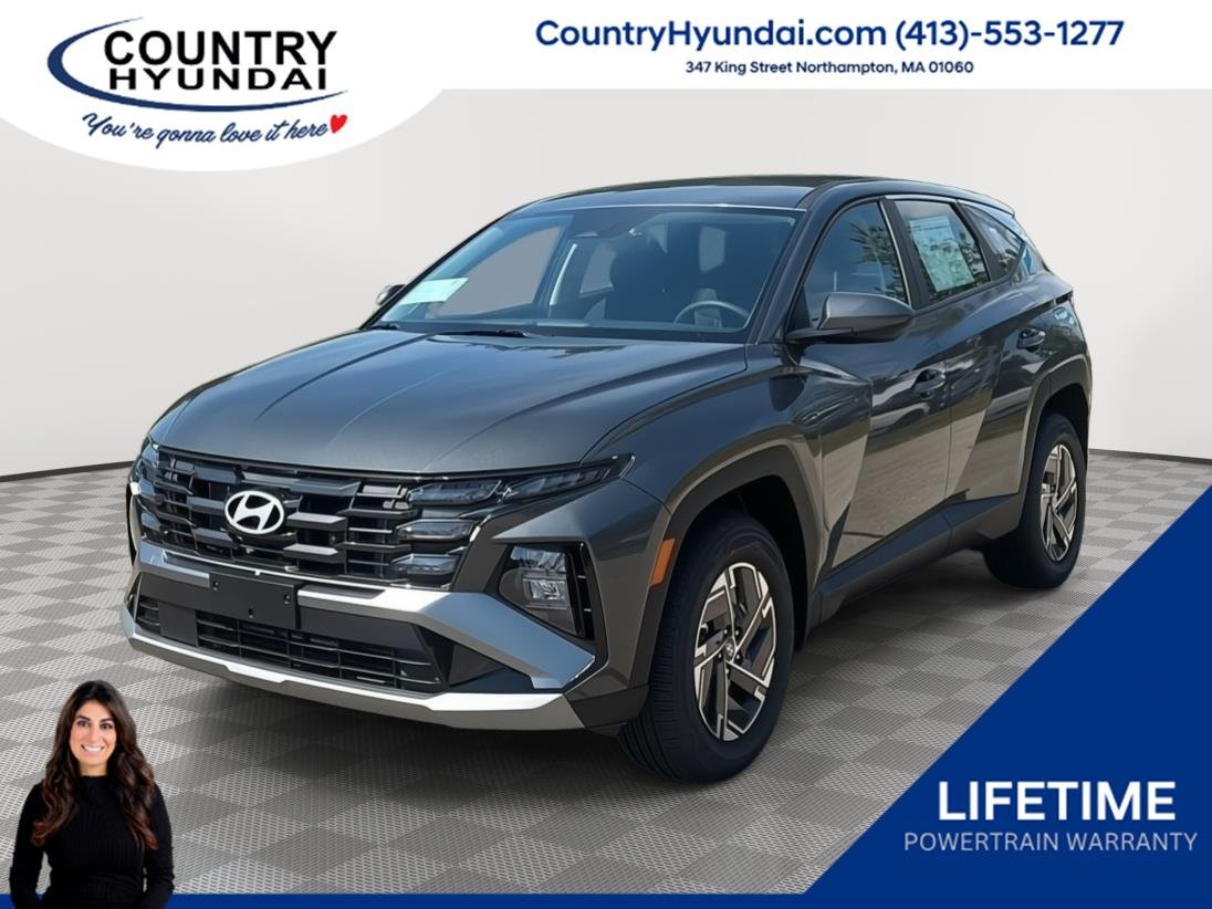 New 2026 Amazon Gray Hyundai Blue image 1