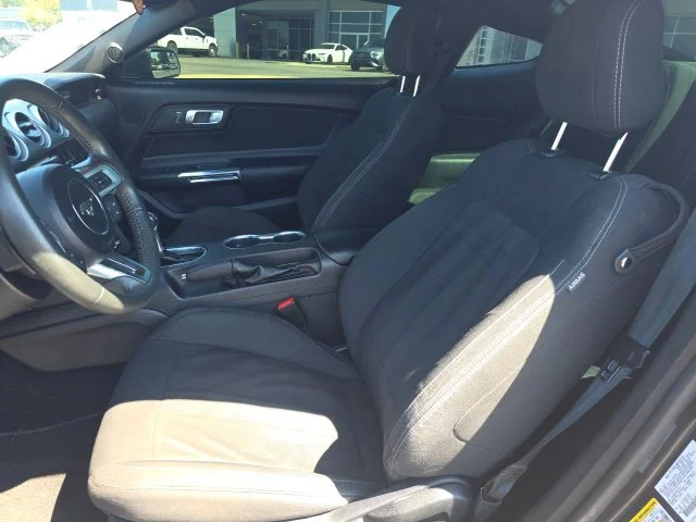 Used 2019 Gray Ford EcoBoost image 9