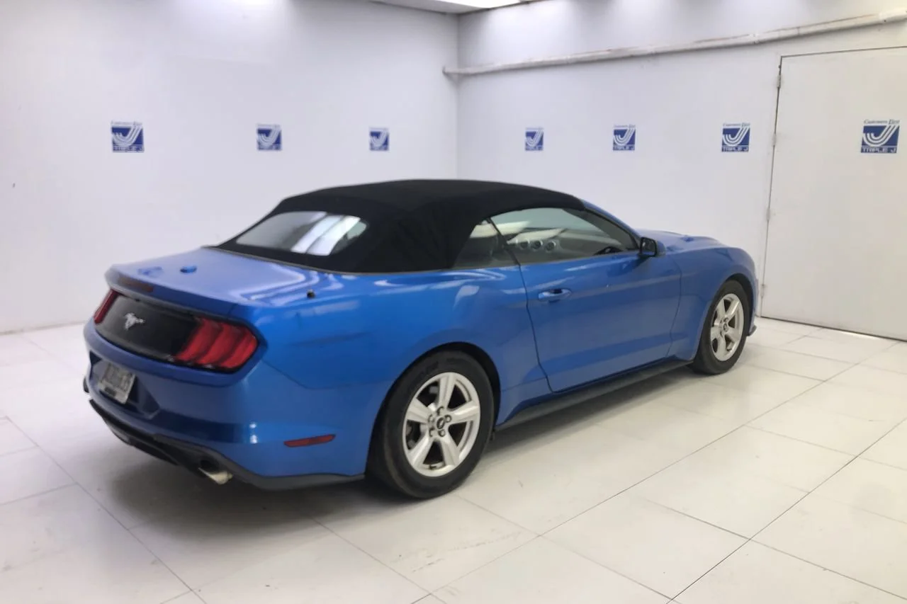 Used 2019 VELOCITY_BLUE Ford EcoBoost image 7