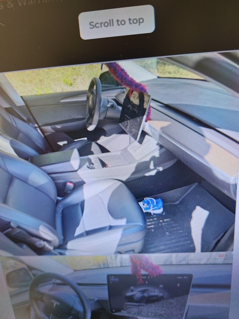 Used 2024 Black Tesla Performance image 19