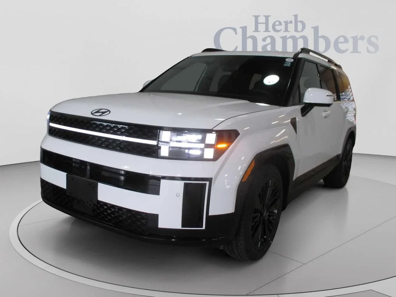 New 2026 White Hyundai Calligraphy image 18