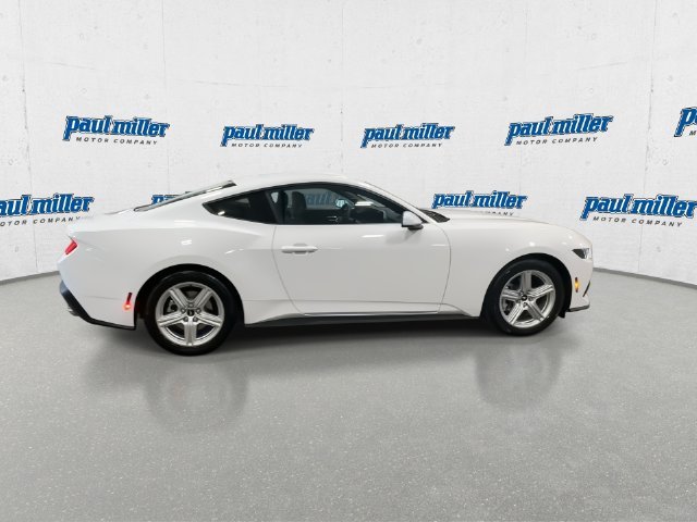 New 2026 Oxford White Ford EcoBoost® Fastback image 12