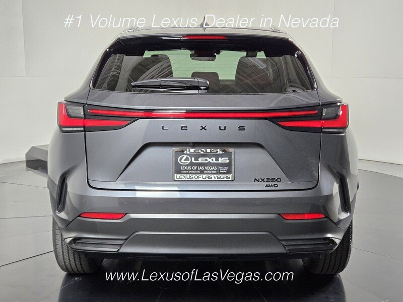 New 2026 Cloudburst Gray Lexus PREMIUM image 5