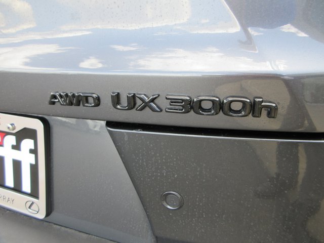 New 2026 Cloudburst Gray Lexus 300h Premium image 15
