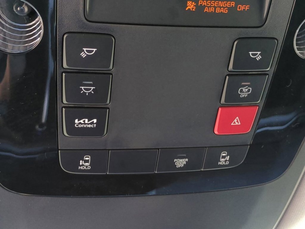 New 2026 Panthera Metal Kia LXS image 21