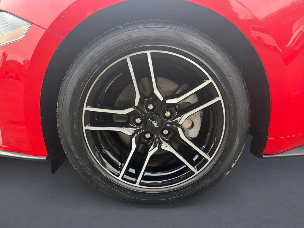 Used 2021 Race Red Ford EcoBoost Premium image 10