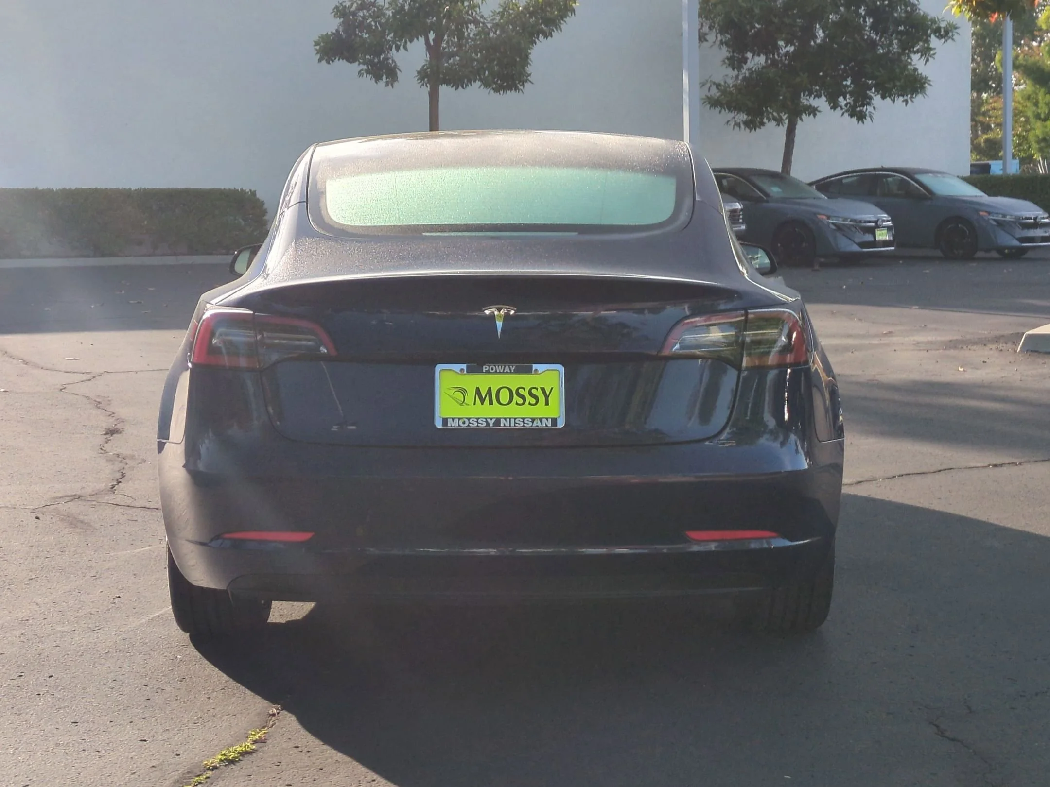 Used 2023 Blue Tesla Base image 7
