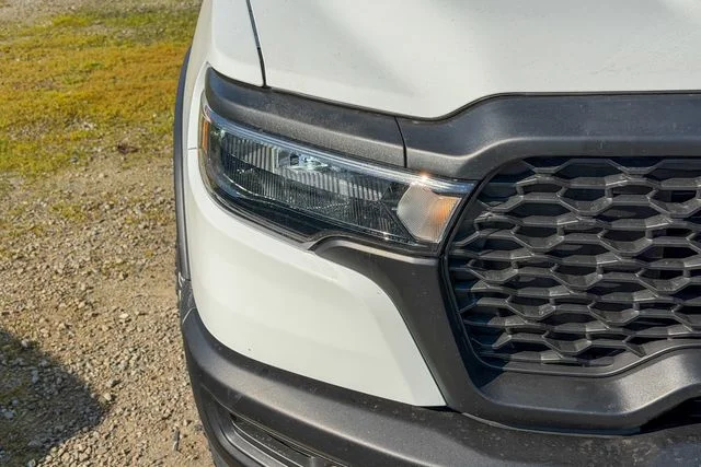 New 2026 White Ram Rebel image 5