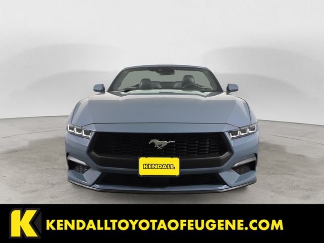 Used 2024 Blue Ford EcoBoost image 8