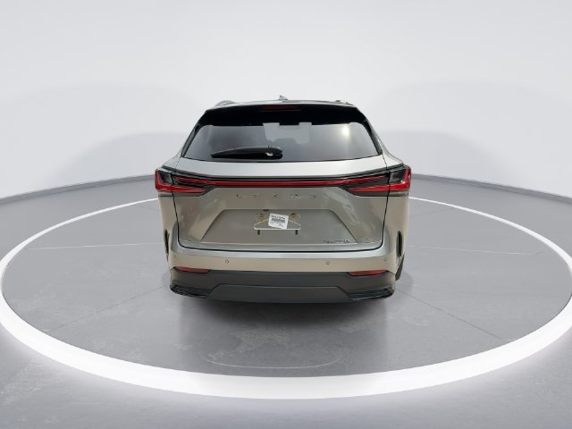 2025 Lexus NX 250 - Photo 7
