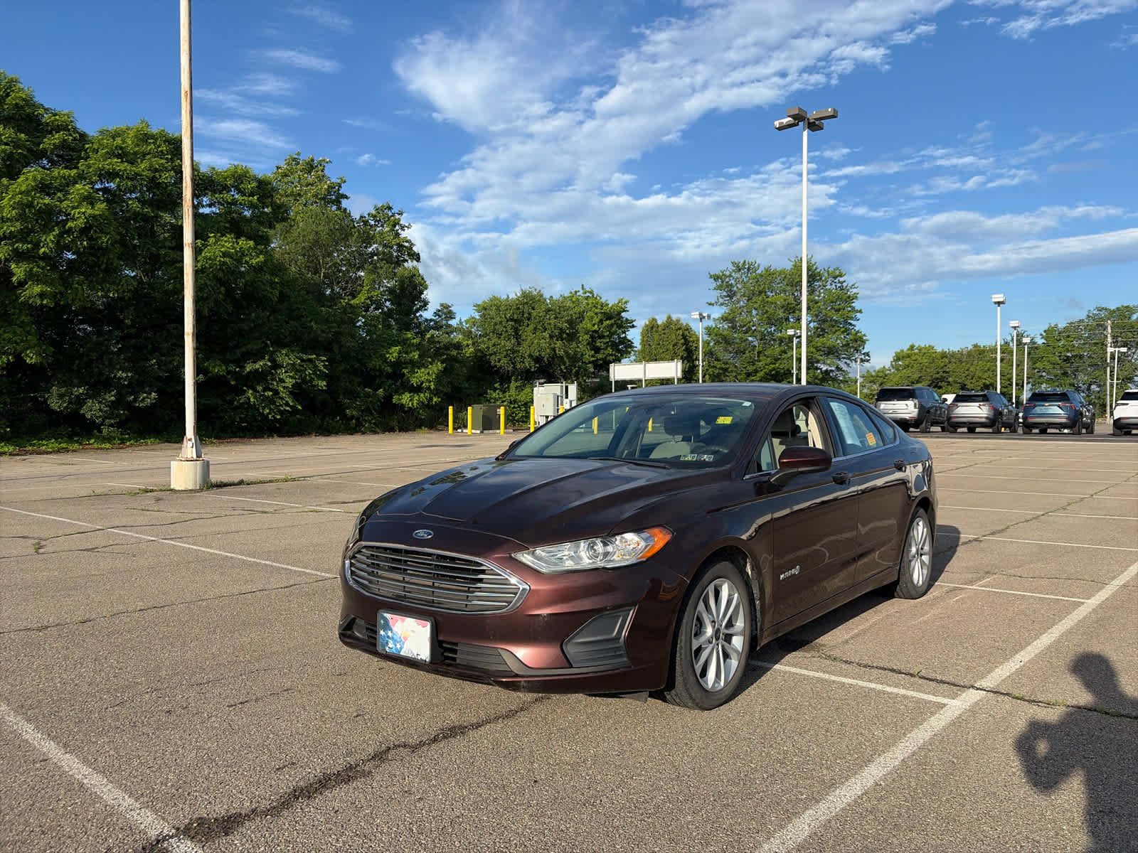 Used 2019 Bur/burgandy Ford SE image 1
