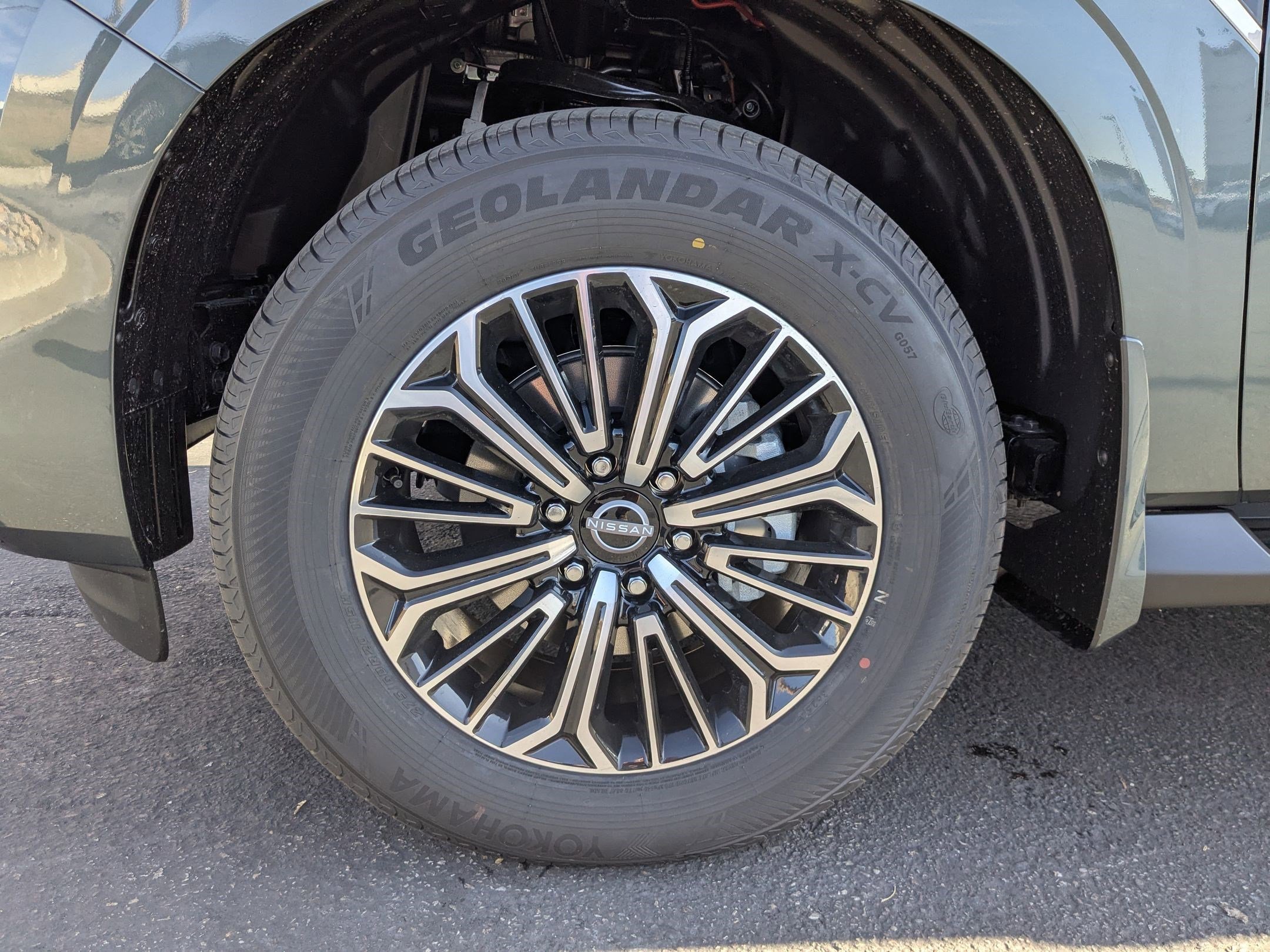 New 2026 Alpine Metallic Nissan Platinum image 19