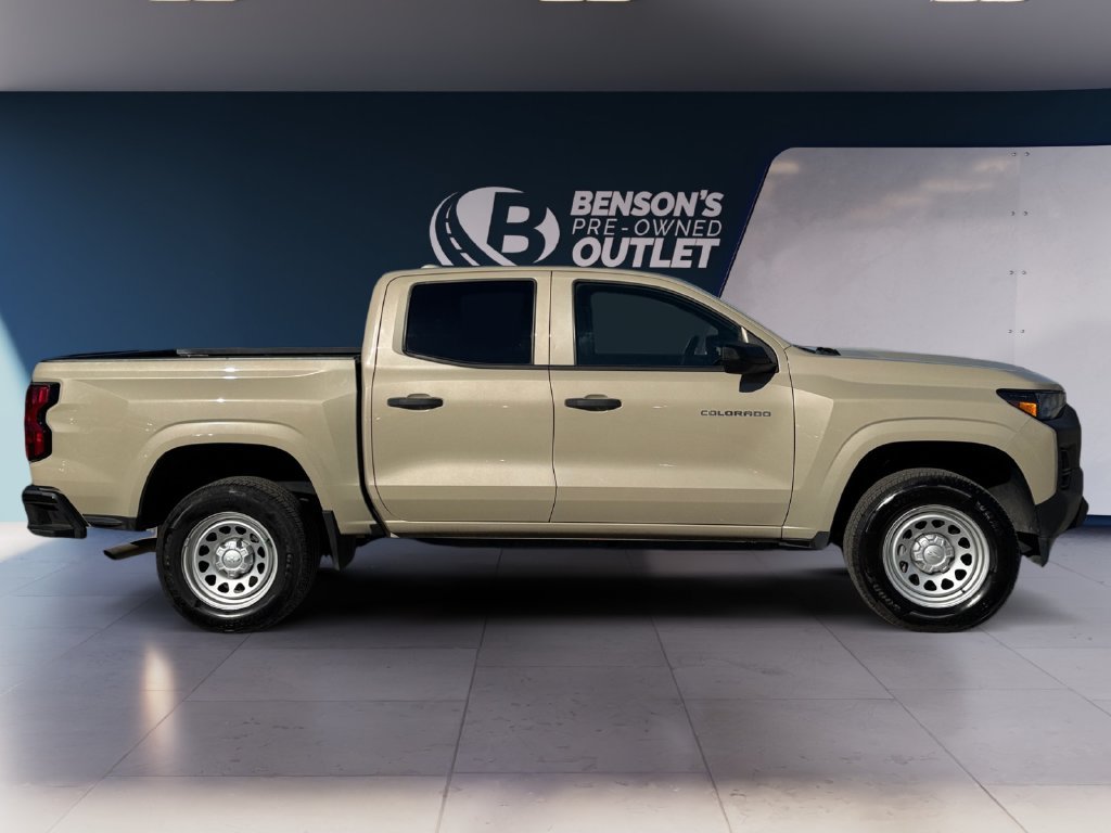 Used 2024 Beige Chevrolet Work Truck image 6