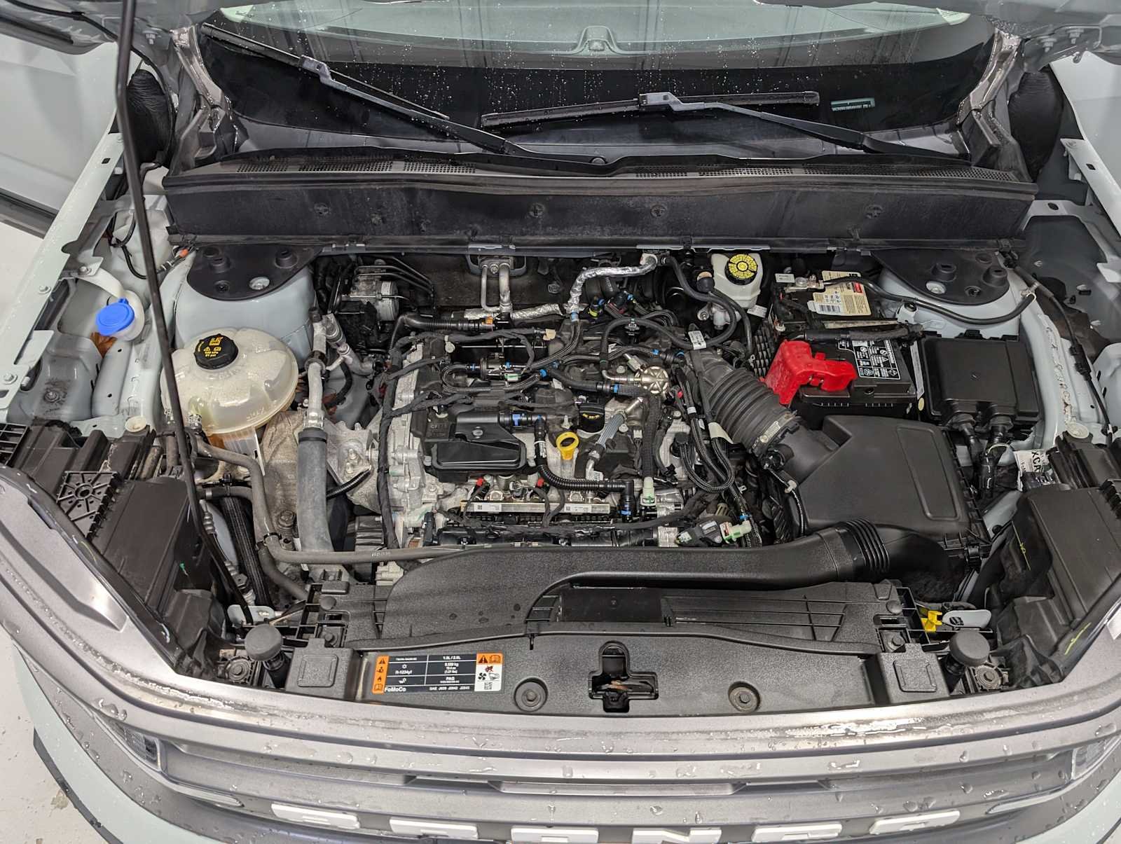 Used 2021 Cactus Gray Ford Big Bend image 14