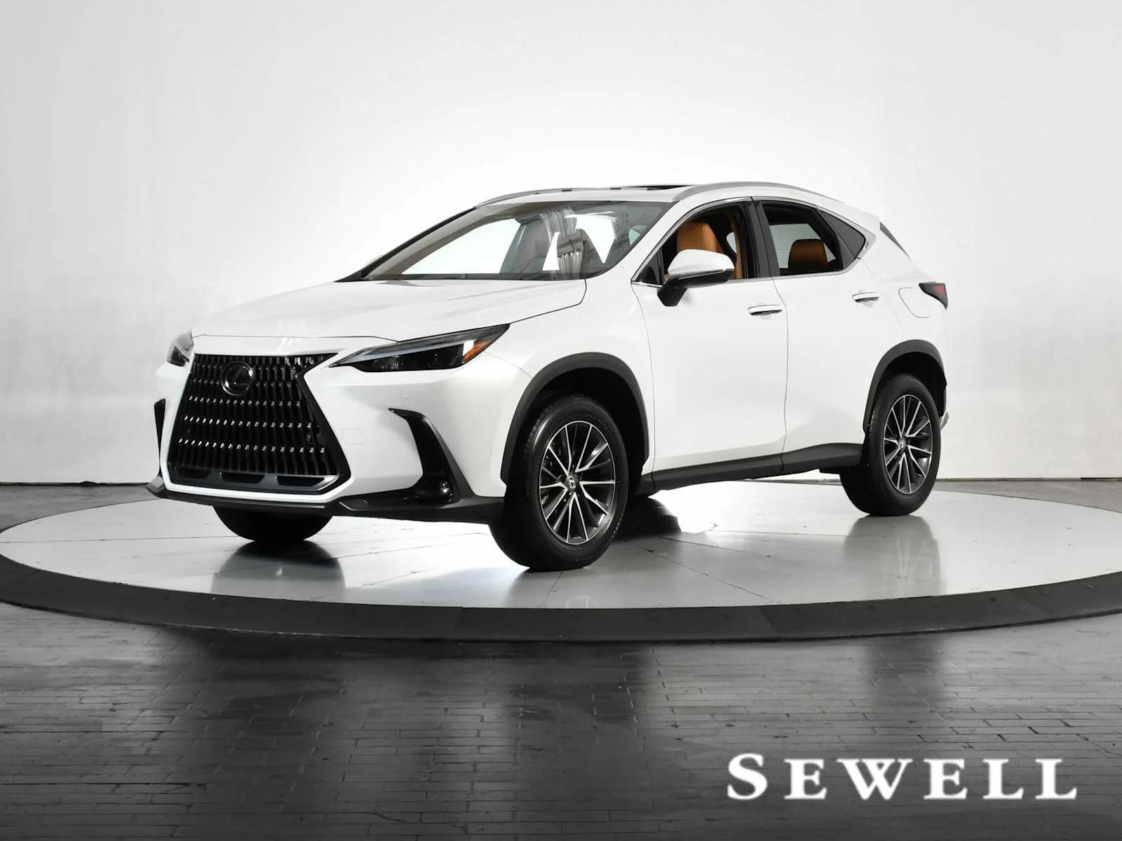 2025 Lexus NX 250 Premium
