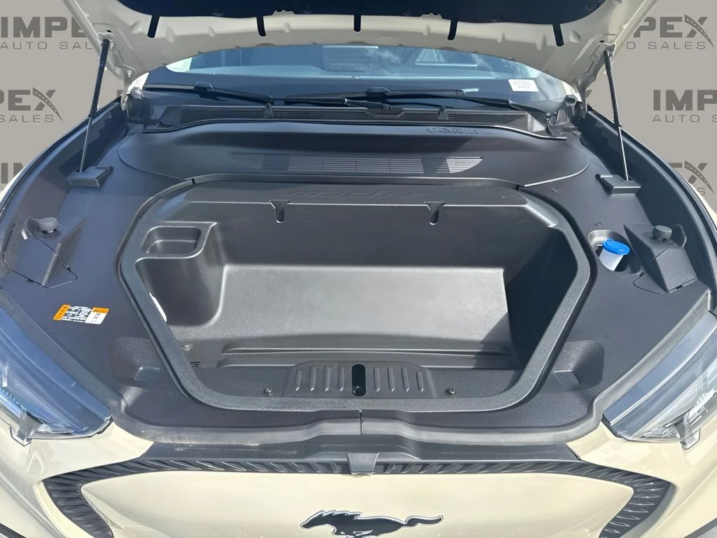 Used 2025 Beige Ford Select image 18