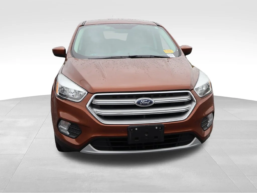 Used 2017 Canyon Ridge Metallic Ford SE image 7