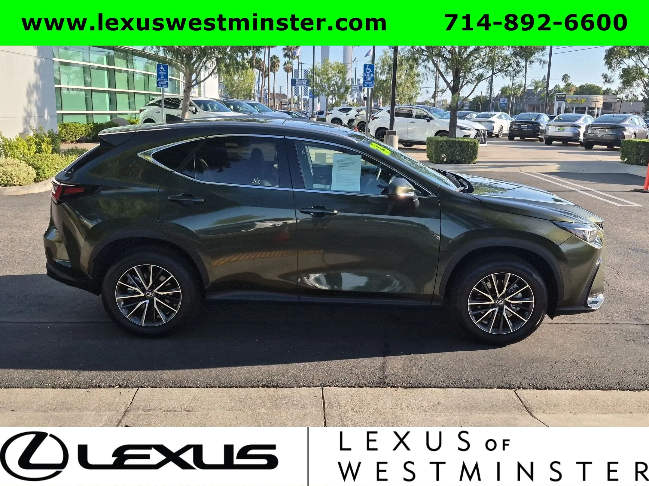 Certified Used 2023 Nori Green Pearl Lexus NX 350 image 5