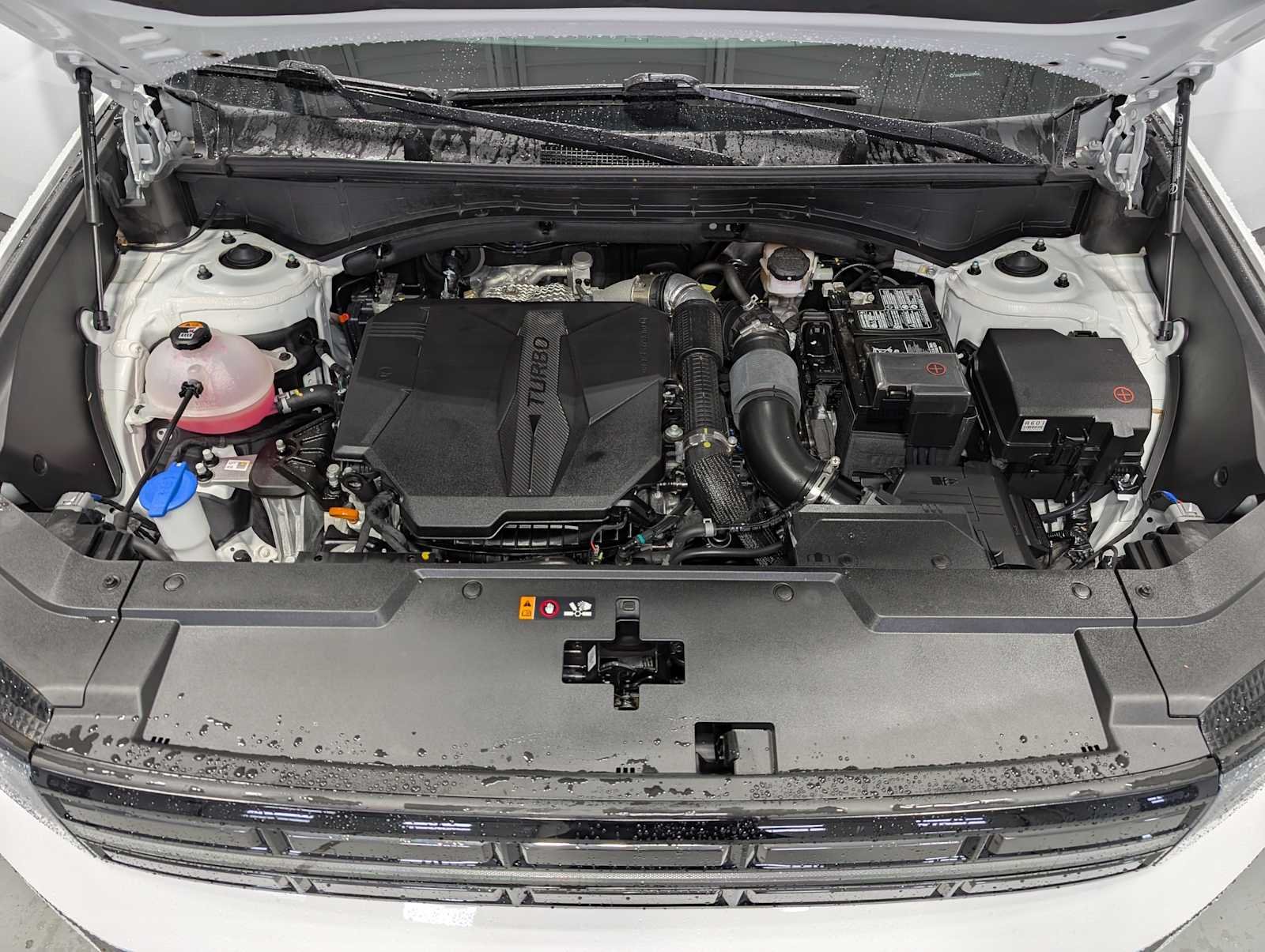 Used 2025 Serenity White Hyundai Limited image 14
