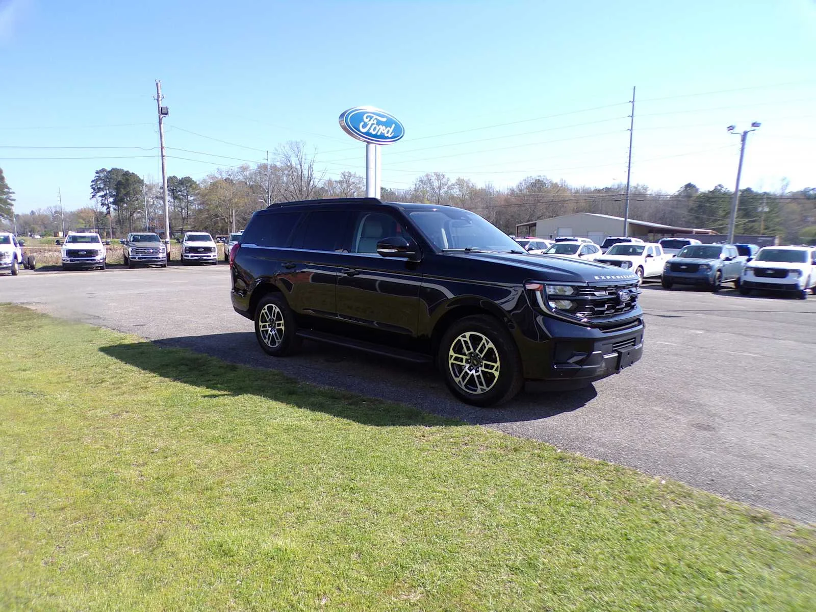 Used 2025 Agate Black Metallic Ford Active image 3