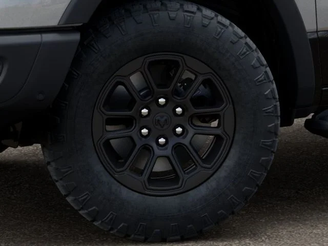 New 2026 Silver Zynith Exterior Paint RAM Rebel image 8