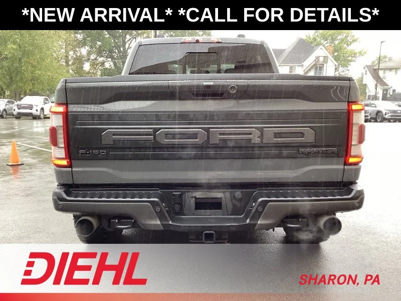 2021 Ford F-150 Raptor - Photo 6