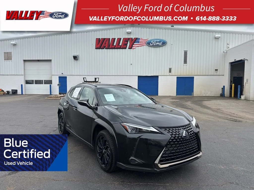 2021 Lexus UX 300h 250h AWD's photo