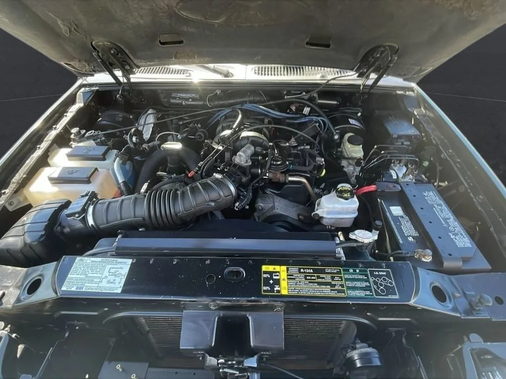 Used 2005 Black Ford Adrenalin image 29