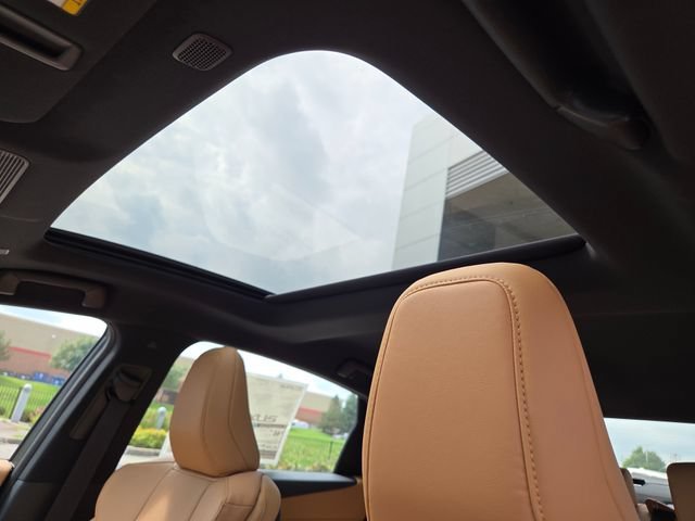 New 2026 Iridium Lexus PREMIUM image 9