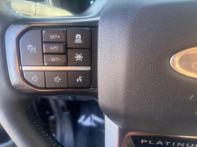 New 2026 Agate Black Metallic Ford Platinum image 57