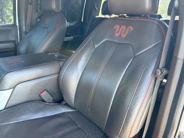 Used 2016  Ford King Ranch image 14