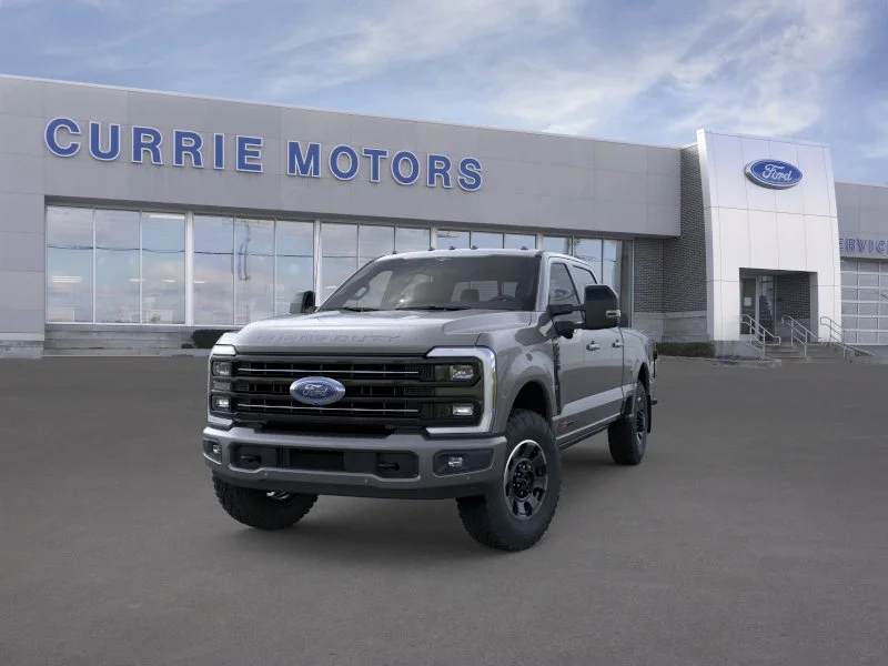 New 2026 Carbonized Gray Metallic Ford Platinum image 24